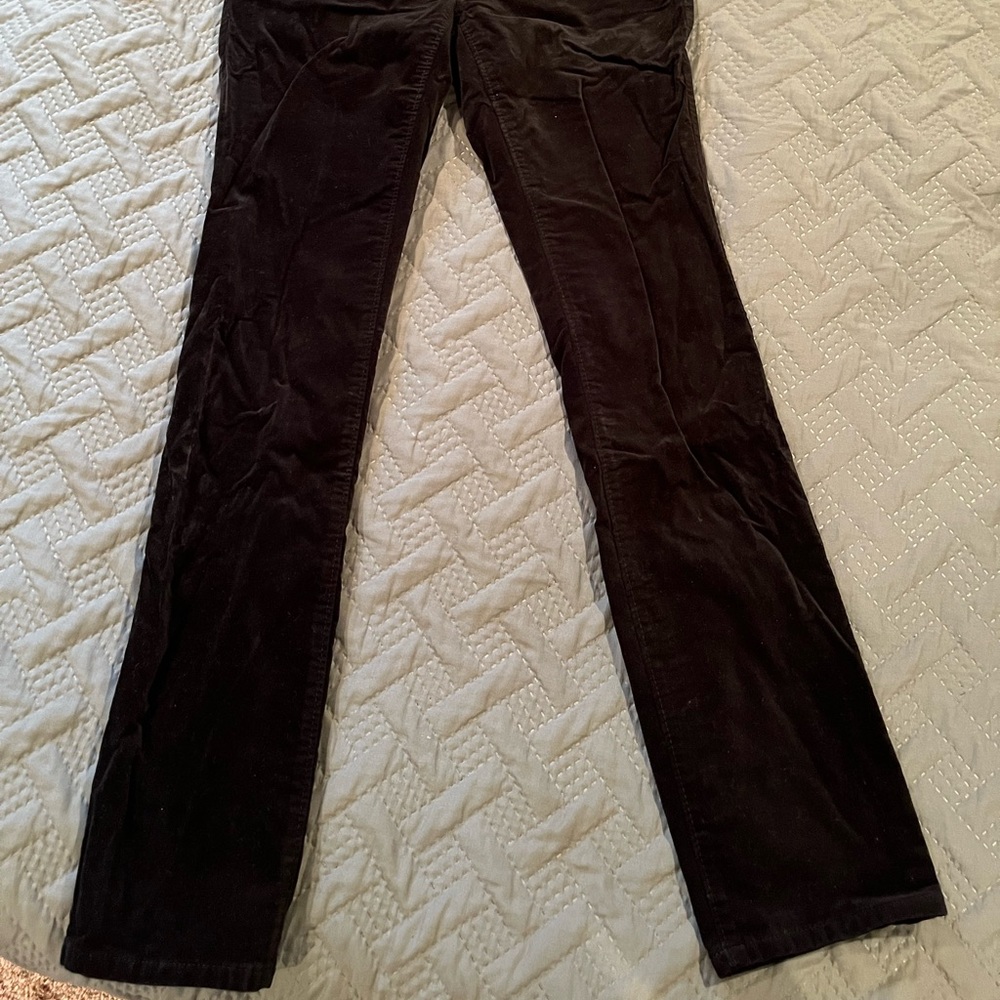 Ann Taylor Pants
